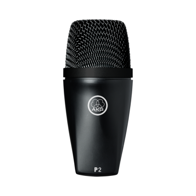 Інструментальний мікрофон AKG P2 3100H00150 фото