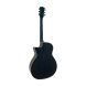 Акустическая гитара Toneberg T340-FG-BL