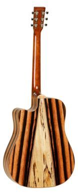 Электроакустическая гитара TANGLEWOOD TJ5 CE 89218 фото