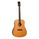 Электроакустическая гитара TANGLEWOOD TRS5 SE