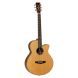 Электроакустическая гитара TANGLEWOOD TJ4 CE